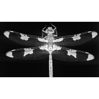 AlphaZero - Empresas logo - Similar company to Alphazero Software Solutions