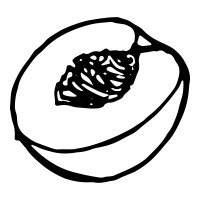 Freestone Media logo - Similar company to Incubation Studio