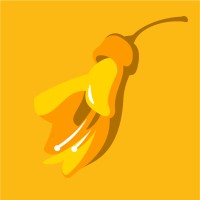 Kowhai Dental logo - Similar company to Medshare Technologies