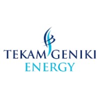 TEKAM GENIKI ENERGY S.A. logo - Similar company to Dedoussis Engineering Ltd