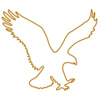 Solution Professional Consulting