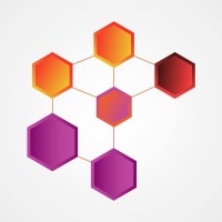 Pharmalagasy logo - Similar company to Comité Pour La Sauvegarde De L'Intégrité