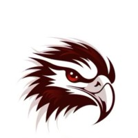 EIEVU Financial Analisers Pvt Ltd logo - Similar company to Heartin Tech