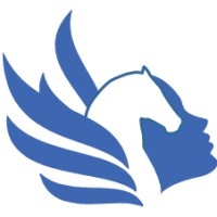 Pégase inspiration logo - Similar company to Pegase Processus