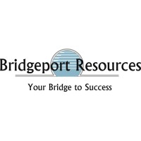 Bridgeport Resources, LLC. logo - Similar company to Cloudpilot Consulting