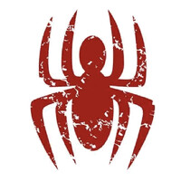 RED SPIDER logo - Similar company to Red Spider Security