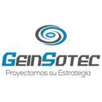 GEINSOTEC S.A. logo - Similar company to Av Factory Technology Solutions