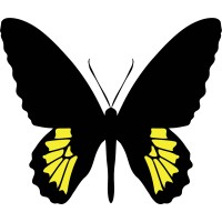 Butterfly Conservation Society of Sri Lanka (BCSSL) logo - Similar company to Sri Lanka Wildlife Conservation Society (Slwcs)