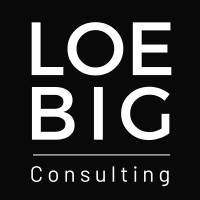 Loebig Consulting logo - Similar company to Hayden Consultancy