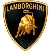 Lamborghini Delhi logo - Similar company to Goovis