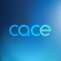 Cámara Argentina De Comercio Electrónico (Cace)