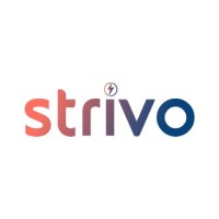 Strivo logo - Similar company to Quirkypixel