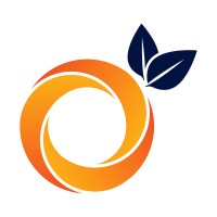 Orange Software Solutions logo - Similar company to Orange Software Solution