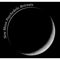 New Moon Psychedelic Retreats logo - Similar company to Wiseheart Mindful Living