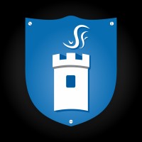 Grupo Salffer logo - Similar company to Bossois Tec