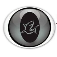 SharkEye Tech logo - Similar company to Sharkeye Technology Services, Llc