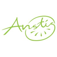 P.M Anstis Trust logo - Similar company to Punchbowl Packco Limited