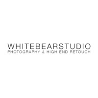 WhiteBear Studio logo - Similar company to White Bear Ai