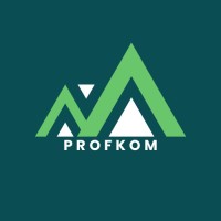 ProfKom logo - Similar company to Digital Revisor As