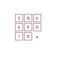 Squaroid logo - Similar company to Sanjiv Tandon Architects