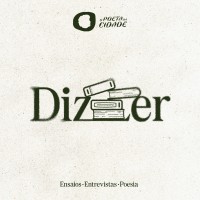 Dizer logo - Similar company to Pleid St.