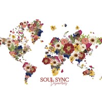 Soul Sync Discoveries