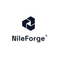 NileForge logo - Similar company to Gofriday