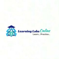 LearningLabsOnline logo - Similar company to Webdefense.In