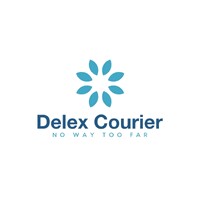 DelexCourier logo - Similar company to #Mro Infra Llp