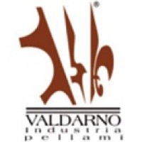 Conceria Valdarno International S.P.A. logo - Similar company to Conceria Superior Spa