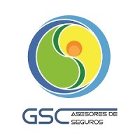 Seguros GSC logo - Similar company to Angular Investment