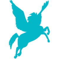 Pegasus-Netzwerk logo - Similar company to Depomm E.V.