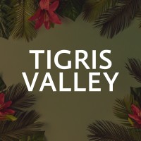 Tigris Valley logo - Similar company to Digital Bridge International