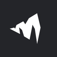 WebVIST - Software House logo - Similar company to Unity-T Group Sp. Z O.O. Sp.K.