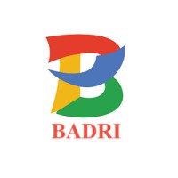 badrisoft logo - Similar company to Bradsoft