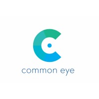 Common Eye logo - Similar company to Vng Connect | Kennis, Netwerk, Ontwikkeling