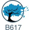 B617 logo - Similar company to Cerl