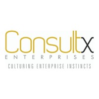 ConsultX Enterprises DWC-LLC logo - Similar company to Brisk Auditing