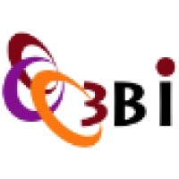 3Bi Consulting Sa