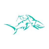 Shark Jockey Digital logo - Similar company to Crosby Interactive