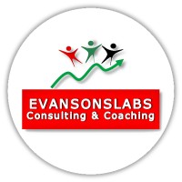 Evansonslabs Consulting and Coaching logo - Similar company to Profizienz
