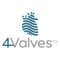 4Valves Group logo - Similar company to Medecs