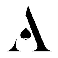 ACE Consulting logo - Similar company to Bime Analytics