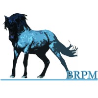 Blue Roan PM Pty Ltd logo - Similar company to Rainbow Engineering - Structural Consulting Engineers
