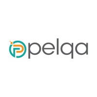 Pelqa Informatics India Pvt Ltd logo - Similar company to Rudraveerya Infotech Solution Pvt Ltd