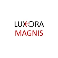 Luxora Magnis logo - Similar company to Mektronik Solutions Private Limited