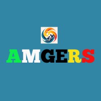 AMGERS - Associação Moçambicana de Gestão de Riscos e Seguros logo - Similar company to Bisstechnology