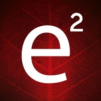 e2 Eveland Enterprises logo - Similar company to Cxpert Global Partners