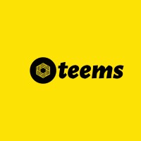 teems logo - Similar company to Teems