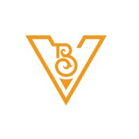 VB Infra Pvt Ltd logo - Similar company to Delson Talent Consulting